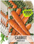 Seed Needs Carrot Seeds for Planting Tendersweet Carrots - Non-GMO Heirloom &