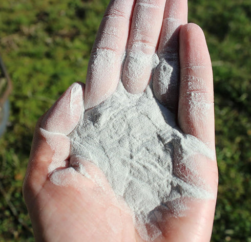 6 lb Chinchillas, (1, Chicken's Choice Chicken Dust Bath, Natural Volcanic Ash Dust Bath for Chickens. Dust Mix