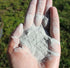 6 lb Chinchillas, (1, Chicken's Choice Chicken Dust Bath, Natural Volcanic Ash Dust Bath for Chickens. Dust Mix