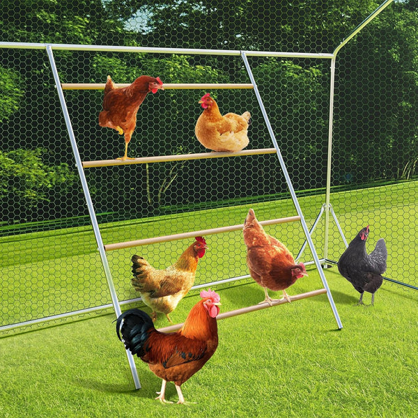Chicken Perch Roosting Bars for Chickens in Coop Chicken Toys for Coop