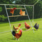 Chicken Perch Roosting Bars for Chickens in Coop Chicken Toys for Coop