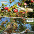 25'x50' 3/4" BSTPCOO Bird Net Bird Netting for Chicken Coop Roof, Nylon Mesh Poultry Netting Garden Nettings for Fruits
