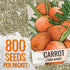 (1 Pack) Seed Needs Carrot Seeds for Planting Paris Market Carrots - Non-GMO Heirloom & Untreated Annual Cool Weather
