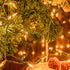 mimigogo 50-Count (13ft White Christmas Lights with Green Wire,Mini String Lights for Holiday Decorations, Christmas