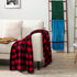 PAVILIA King Size Fleece Blanket - Super Soft, Plush, Lightweight Microfiber Throw, Emerald Green, 90x108 inches