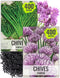 Seed Needs Chive Seeds for Planting Garlic & Common Chives Herbs -