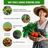 Pack 20 3900+ Vegetable Seeds Variety Tomato, Cucumber, Zucchini, Lettuce, Broccoli & Cabbage Varieties, Non-GMO