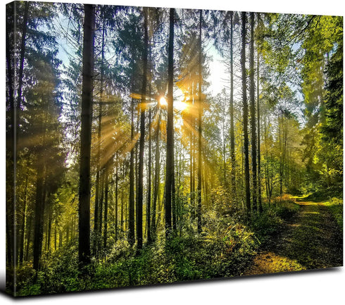 Forest Wall Art Nature Pictures - 12x16” Mountain Landscape Photo Prints for Living Room and Home Decor