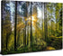 Forest Wall Art Nature Pictures - 12x16” Mountain Landscape Photo Prints for Living Room and Home Decor