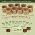 9 Planters' Choice Herb Indoor Window Garden Kit - House Plants Seeds - Best Unique Easter Gift Ideas for Women, Mom