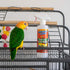 16oz (Pack 2) Absolutely Clean Amazing Bird Cage Cleaner and Deodorizer - Just Spray/Wipe - Safely & Easily Removes