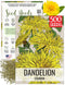 Seed Needs Dandelion Seeds for Planting Taraxacum officinale - Non-GMO Heirloom &