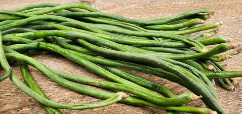 85+ Yard Long Bean Seeds Seeds, Asian Heirloom Yard Long Beans Seeds, Asparagus Beans Seeds, Phaseolus Vulgaris, Non