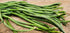 85+ Yard Long Bean Seeds Seeds, Asian Heirloom Yard Long Beans Seeds, Asparagus Beans Seeds, Phaseolus Vulgaris, Non