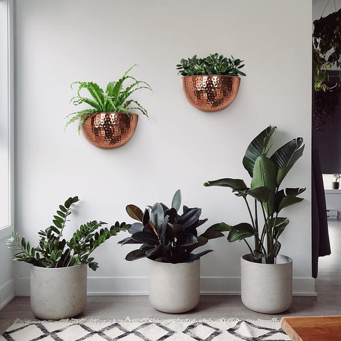 12x7 Allegorie Metal Wall Planter | Indoor or Outdoor Hanging Plant Pot | Farmhouse Decor & Boho Kitchen Decoration