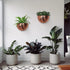 12x7 Allegorie Metal Wall Planter | Indoor or Outdoor Hanging Plant Pot | Farmhouse Decor & Boho Kitchen Decoration
