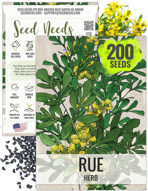 Seed Needs Rue Seeds for Planting - Non-GMO Heirloom & Untreated Perennial