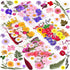 140 Pcs Dried Pressed Flowers for Resin, Natural Herbs Kit for Scrapbooking, DIY Art Crafts, and Jewelry Molds