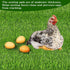 Generic Set 1212"-Washable (6 Pack) Chicken Nesting Pads Artificial Grass Nesting Pads-for Chickens Coopsfor Chicken