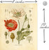 Ink Inc. Botanical Prints Wildflower Prints - Set of 6-8x10 - Unframed