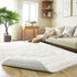 Super Fluffy Rug for Bedroom, 4x6 Shag Fuzzy Area Rug for Living Room, Plush Soft Carpet for Kids, Non Slip Decor