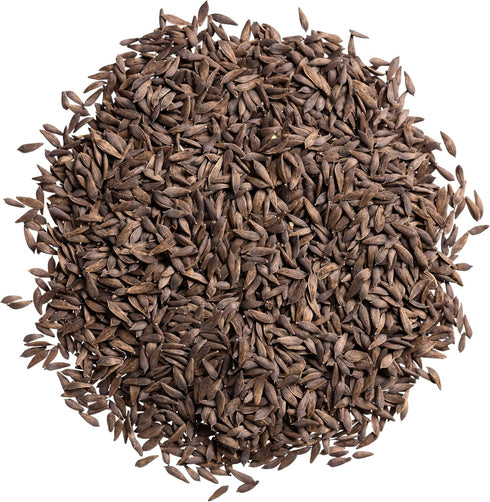 Pack 2 Packets Seed Needs Romaine Lettuce Seeds Variety for Planting a Collection of Individual Varieties - Include Red