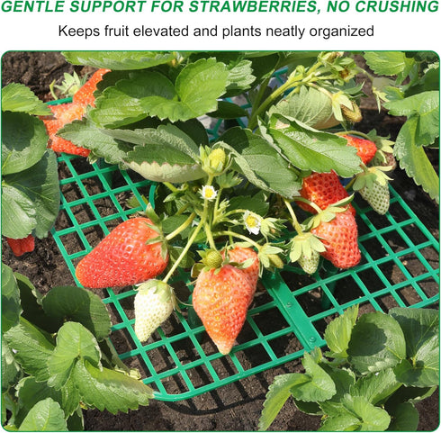 10 Pack Strawberry Plant Supports, Square Frames Keep Strawberries Off Ground, Reusable Strawberry Plant Stands