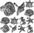 ALPHA Living HOME Silver Napkin Rings - 12-Piece Set of Premium 100% Metal, Antique Coastal Sea Shell Tabletop D cor