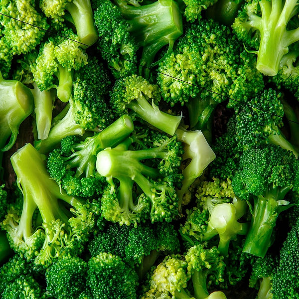 Axel's Garden Seeds Organic Broccoli Seeds for Planting - 250 Heirloom Non GMO Seeds -