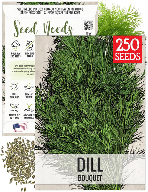 Seed Needs Dill Seeds for Planting Bouquet Herbs - Non-GMO Heirloom &