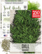 Seed Needs Dill Seeds for Planting Bouquet Herbs - Non-GMO Heirloom &