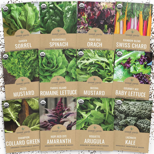 Organic Healthy Greens Seeds Variety Pack - 12 Individual Packs - 2026