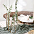 3 Propagation Station Terrariums with Gold Metal Stand - Kate Aspen Glass Test Tube Planters for Indoor Plant, Air