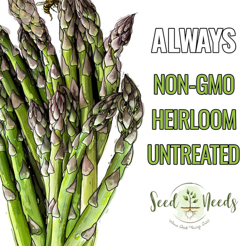 (5 Packs) Seed Needs Asparagus Seeds for Planting Mary Washington Asparagus - Non-GMO Heirloom & Untreated Perennial
