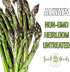 (5 Packs) Seed Needs Asparagus Seeds for Planting Mary Washington Asparagus - Non-GMO Heirloom & Untreated Perennial