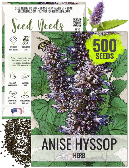 Seed Needs Anise Hyssop Seeds for Planting Agastache foeniculum - Non-GMO Heirloom
