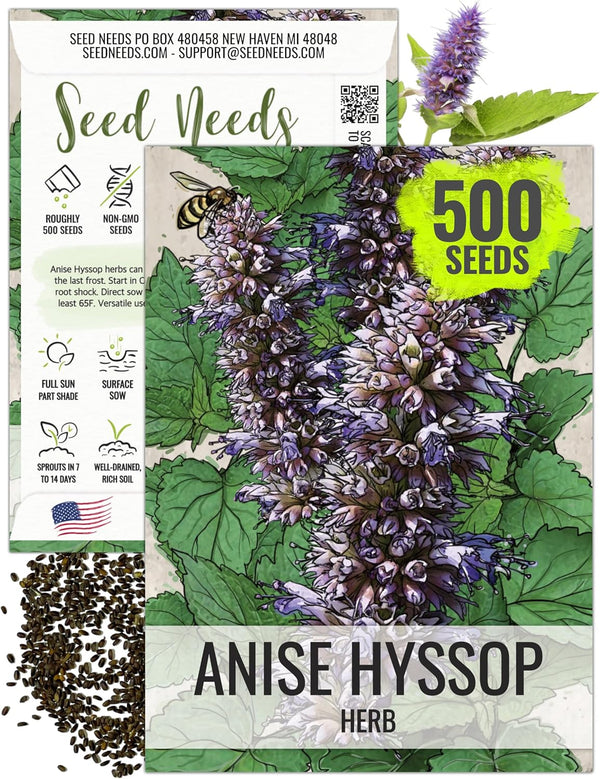 Seed Needs Anise Hyssop Seeds for Planting Agastache foeniculum - Non-GMO Heirloom
