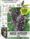 Seed Needs Anise Hyssop Seeds for Planting Agastache foeniculum - Non-GMO Heirloom