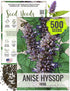 Seed Needs Anise Hyssop Seeds for Planting Agastache foeniculum - Non-GMO Heirloom