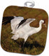 3D Rose Whooping Crane Bird Pot Holder, 8 x 8 - Aransas Refuge, Texas, USA, US44 Ldi0620, Larry Ditto