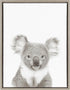 Kate and Laurel Sylvie Koala Black and White Portrait Framed Canvas Wall
