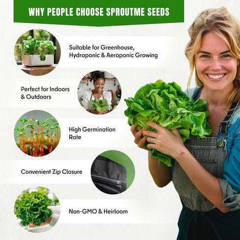 Pack 15 7300+ Lettuce & Salad Greens Seeds Variety Spinach, Kale, Arugula, Romaine & Iceberg Lettuce Varieties, Non-GMO