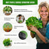 Pack 15 7300+ Lettuce & Salad Greens Seeds Variety Spinach, Kale, Arugula, Romaine & Iceberg Lettuce Varieties, Non-GMO