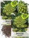 Seed Needs Cauliflower Seeds for Planting Romanesco Broccoli/Cauliflowers - Non-GMO Heirloom &