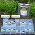 6400+ Lettuce & Salad Garden Seeds for Planting - Non GMO USA Grown Vegetable Seeds for Home Growing - Heirloom Greens