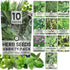 Herb Seeds | 10 Individual Packs | 2026 Season | Non-GMO |