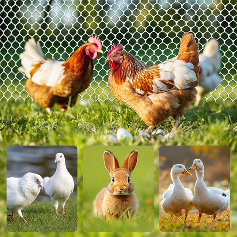 15.7IN 33FT,Plastic 100 White Plastic Chicken Wire mesh x Chicken Wire Fencing,Poultry Netting,Plastic mesh