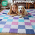 KICMOR 5x7 Purple Rainbow Checkered Area Rugs for Living Room, Colorful Fluffy Soft Fuzzy Shag Shaggy Bedroom Carpet
