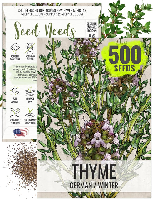 Seed Needs Thyme Seeds for Planting - Non-GMO Heirloom & Untreated Perennial