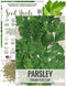Seed Needs Italian Flat Leaf Parsley Seeds for Planting - Non-GMO, Heirloom